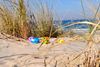 Ostereier in den Dünen der Ostsee | © textag - stock.adobe.com