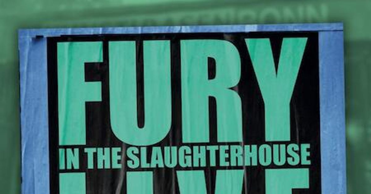 FURY IN THE SLAUGHTERHOUSE - Live Twenty Six