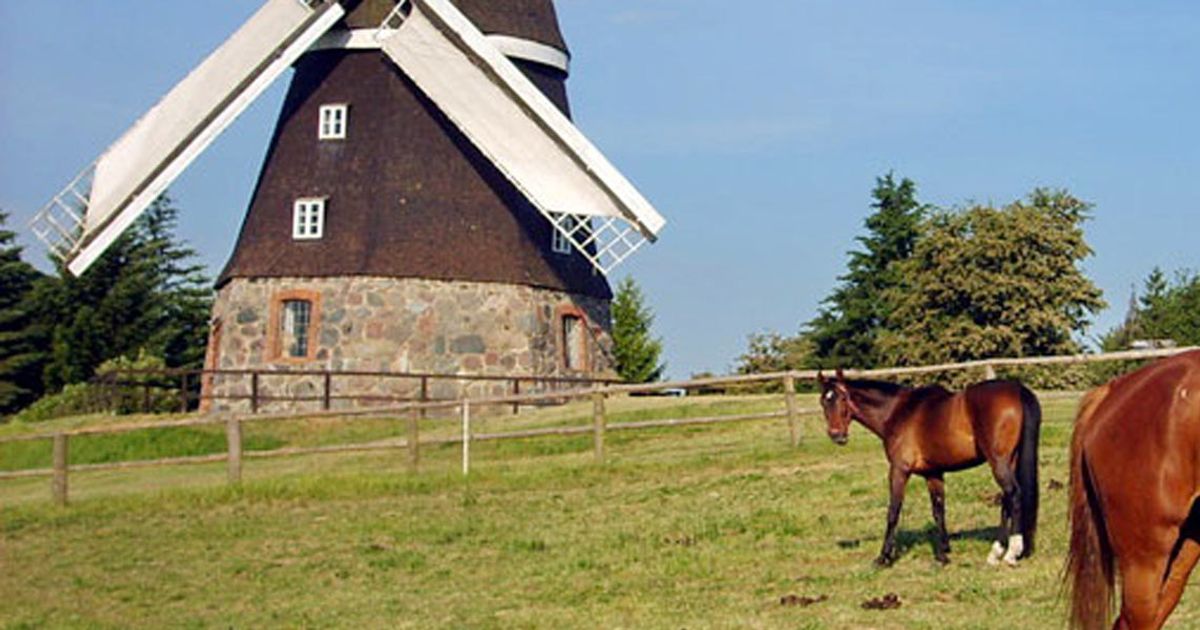 woldegk-n-tzliche-tourismus-informationen
