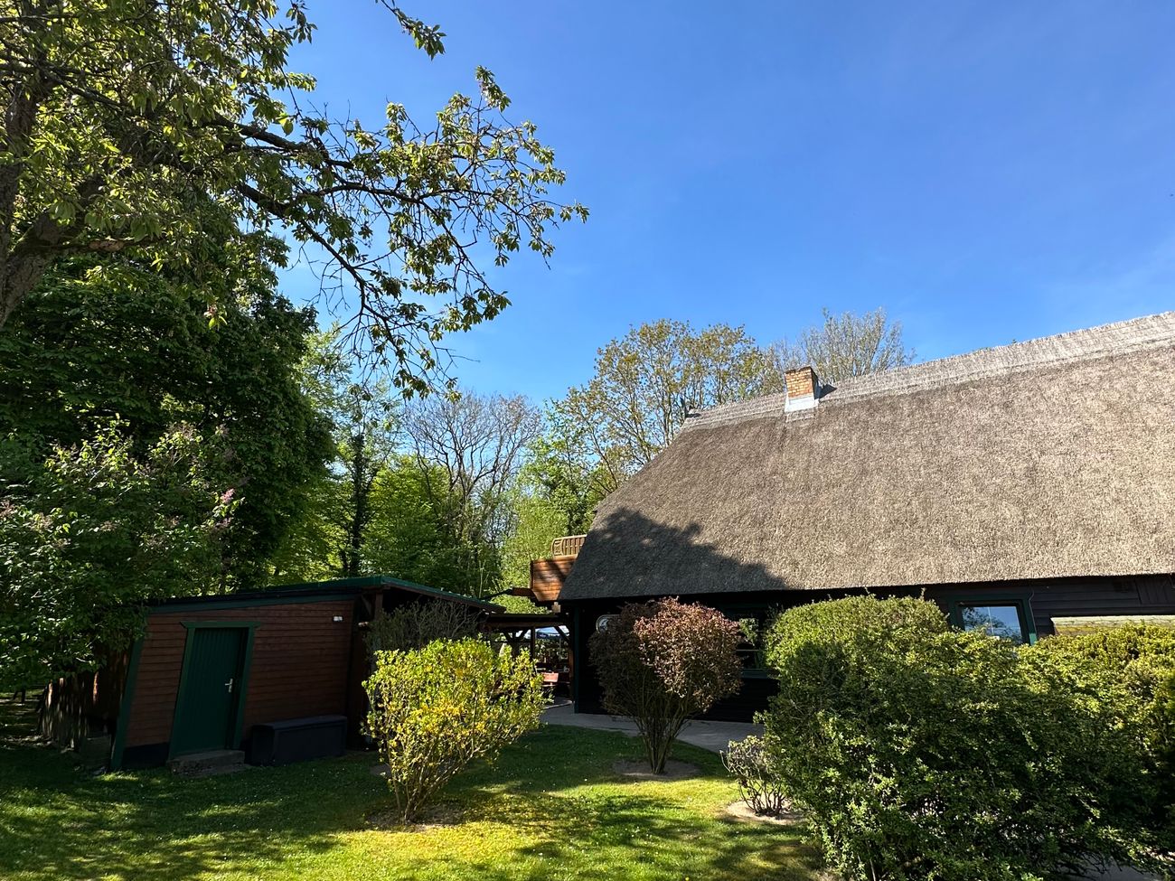 Reetgedecktes Haus von Bäumen und gemähtem Rasen umgeben