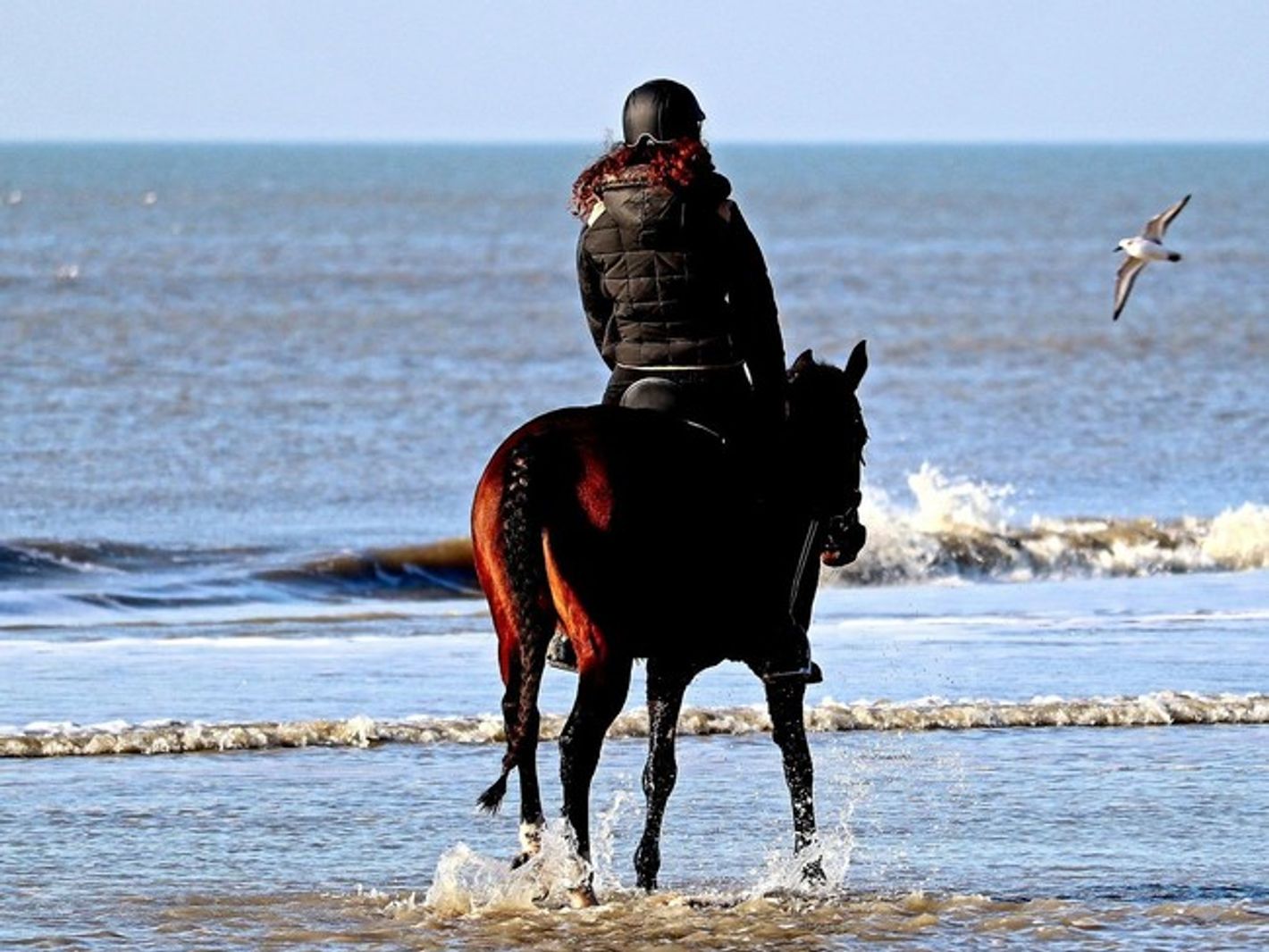 Reiten am Ostseestrand