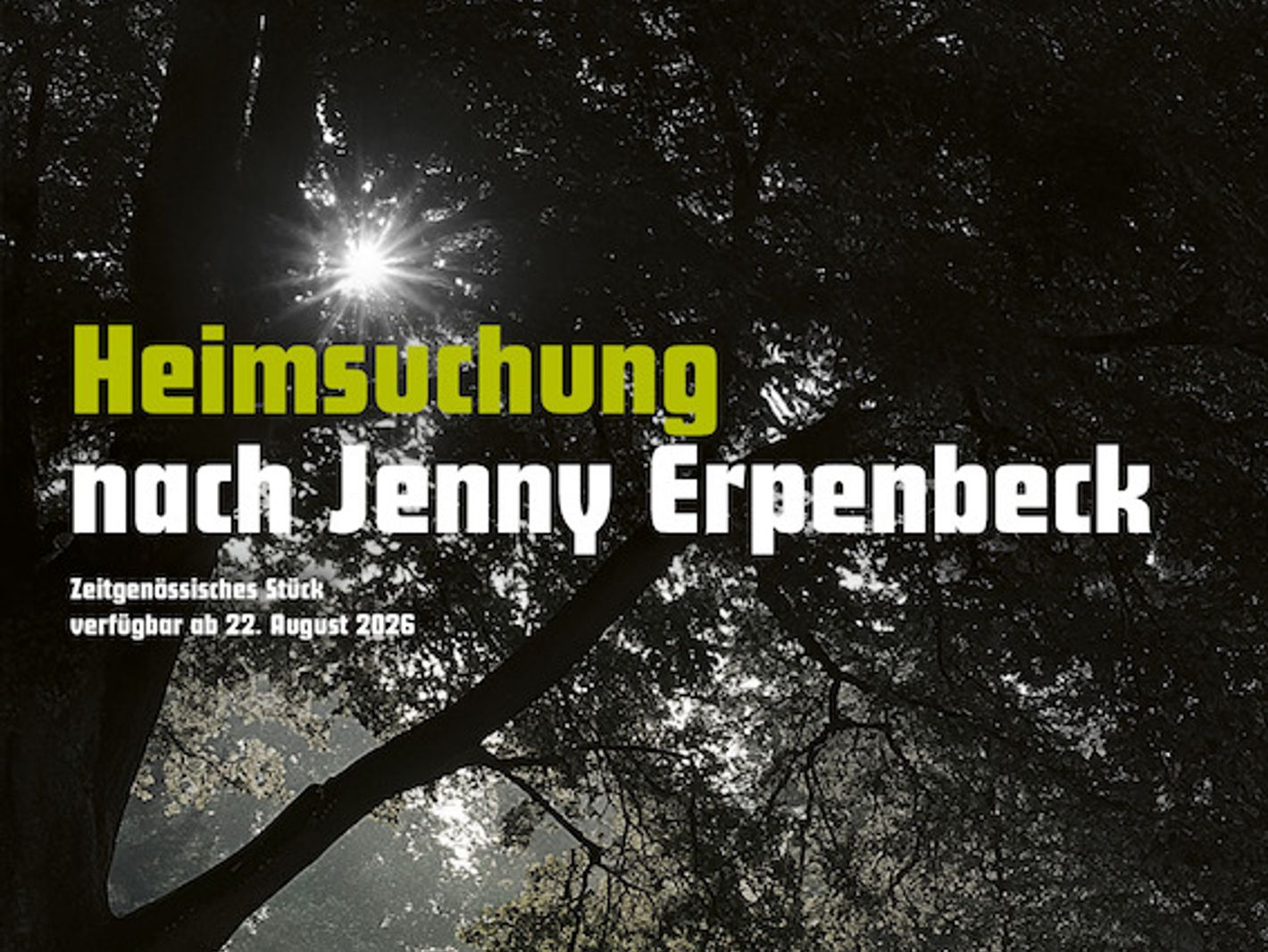 © Timo Hummel