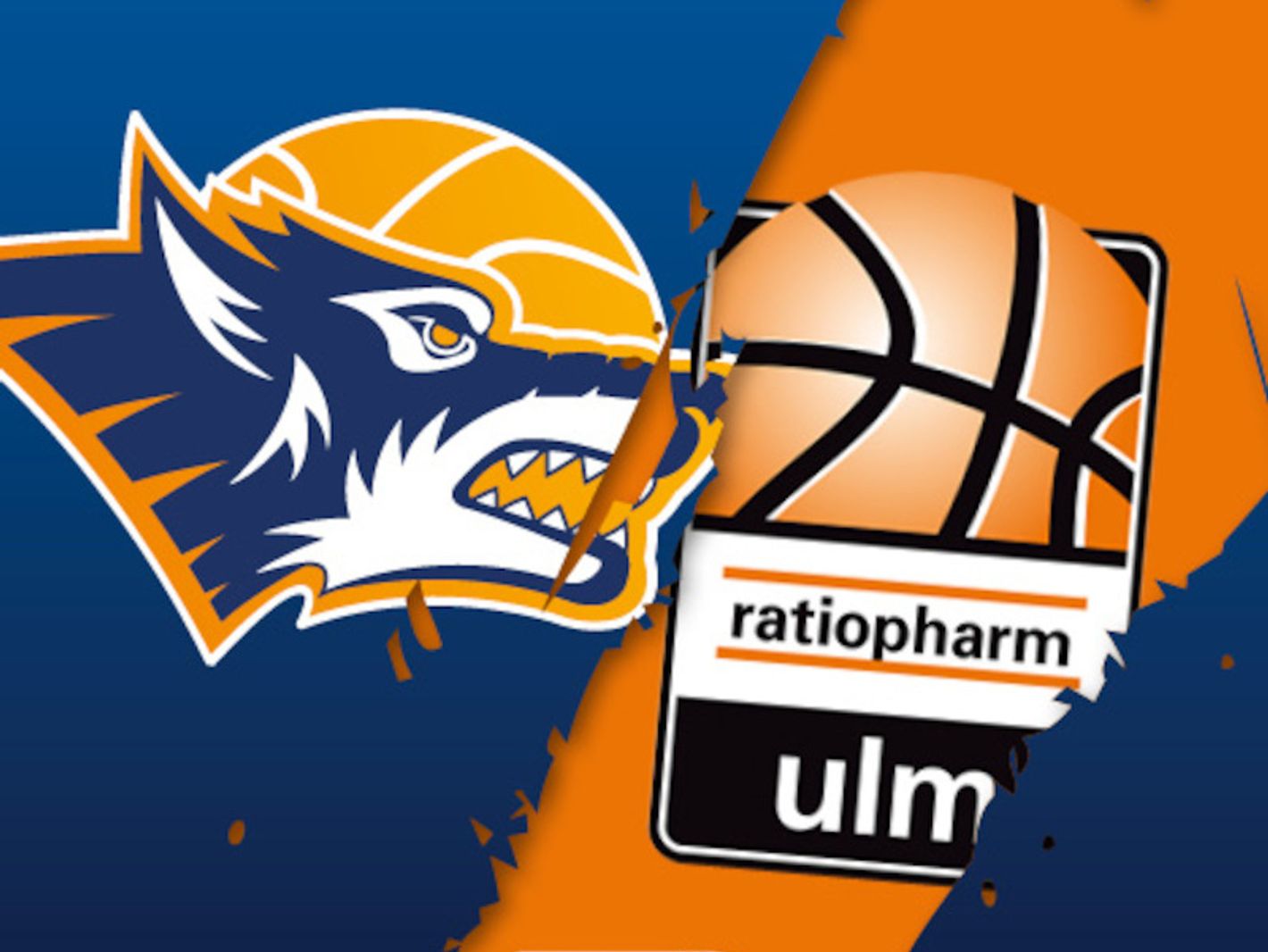 Rostock Seawolves e.V.