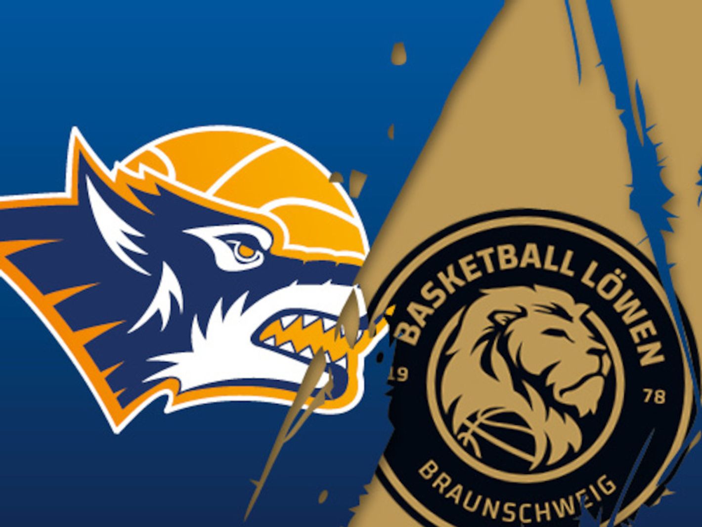 Rostock Seawolves e.V.