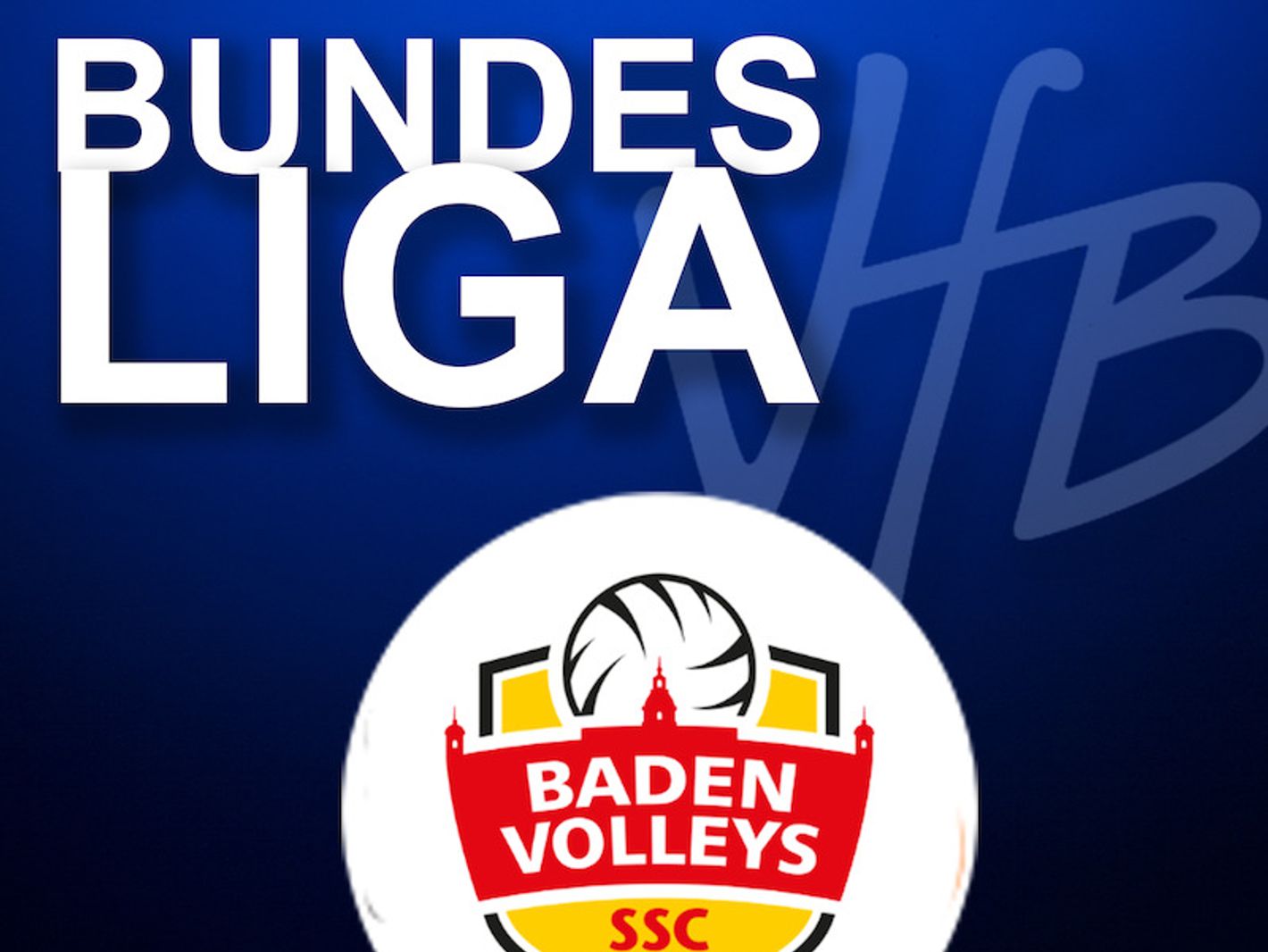 VfB