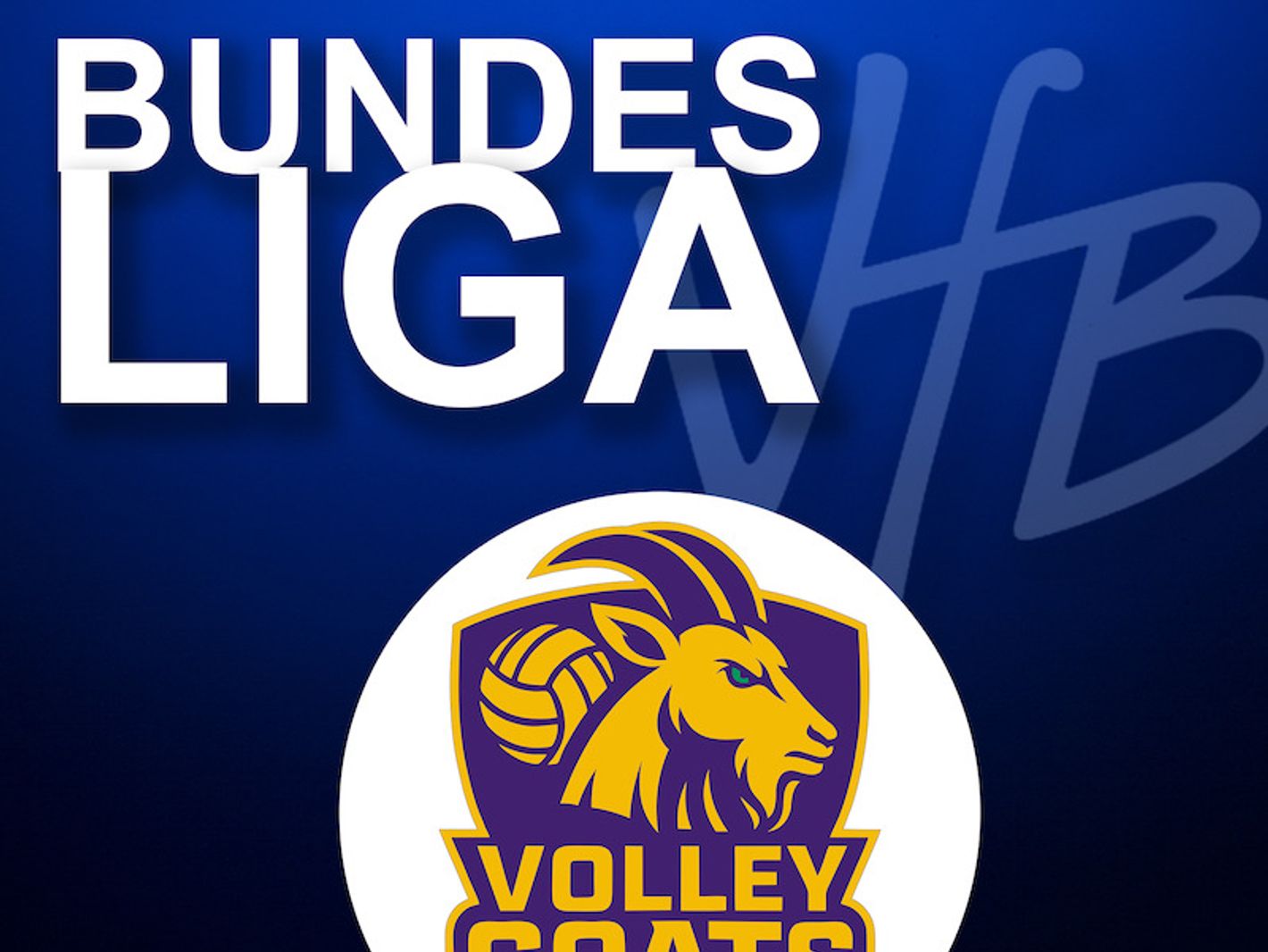 VfB