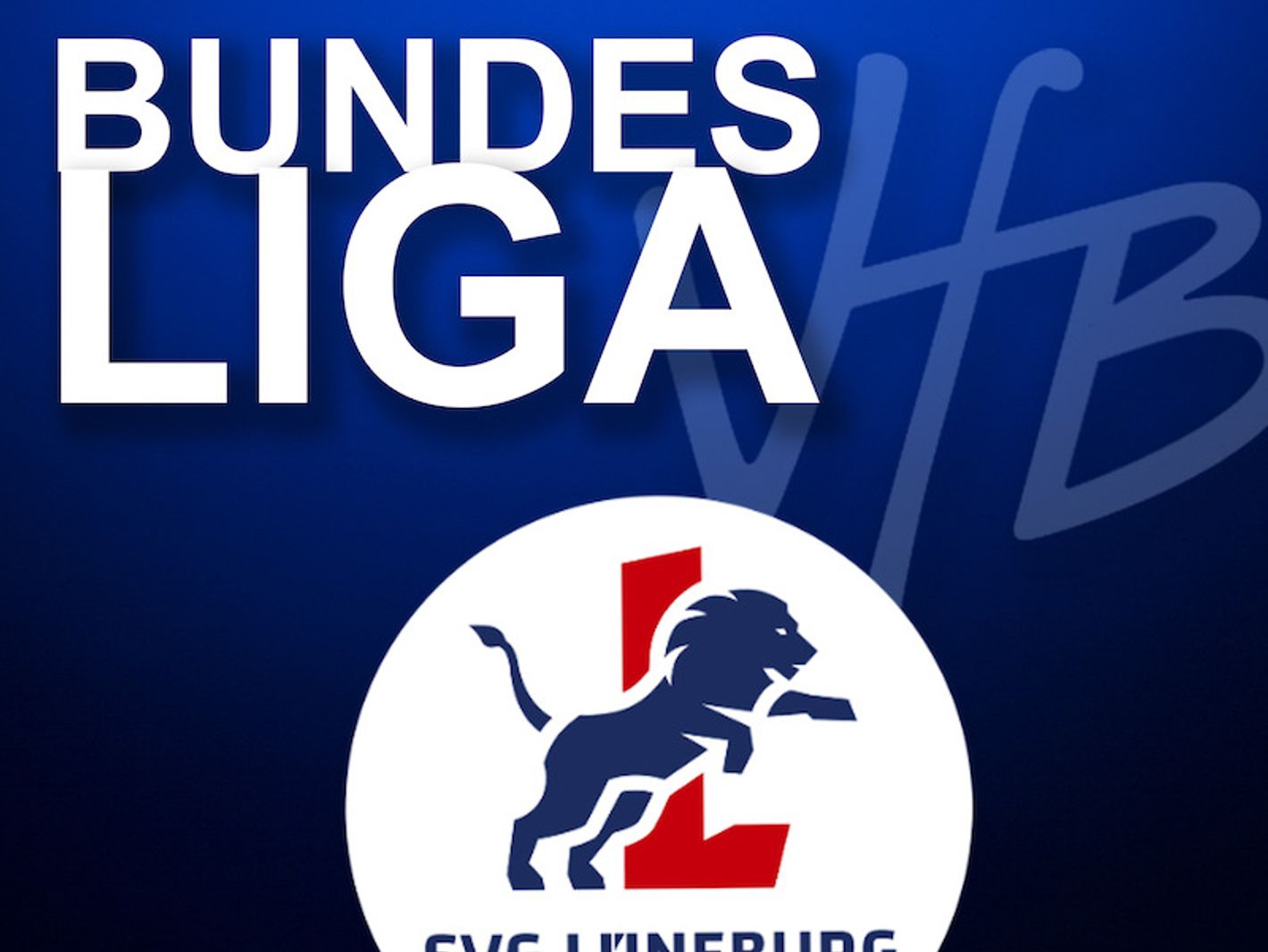 VfB