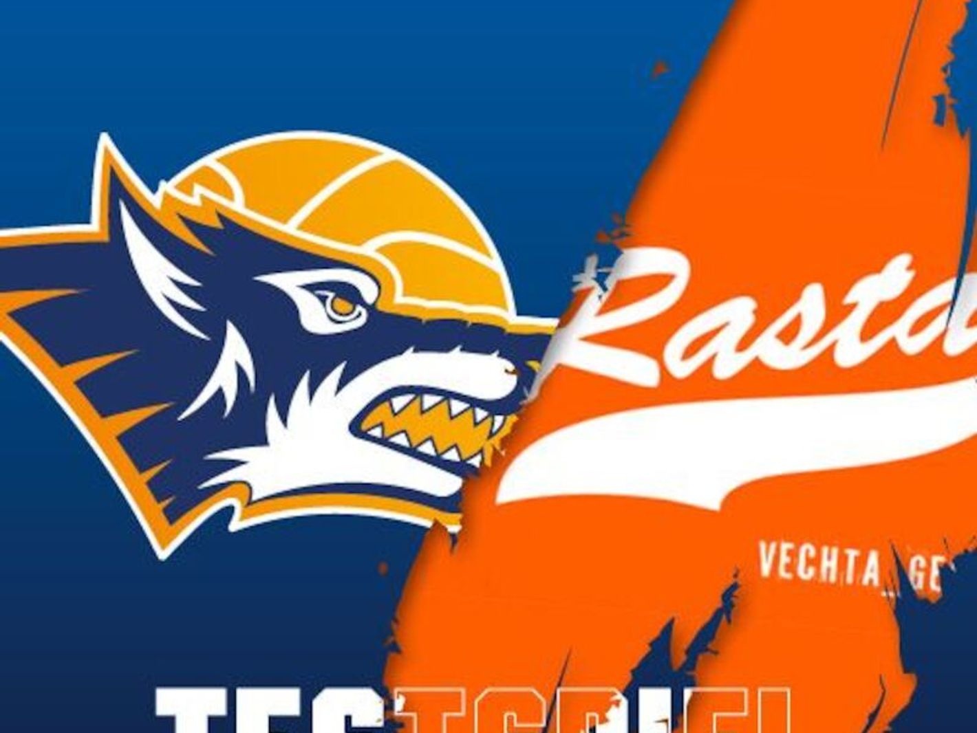 Rostock Seawolves