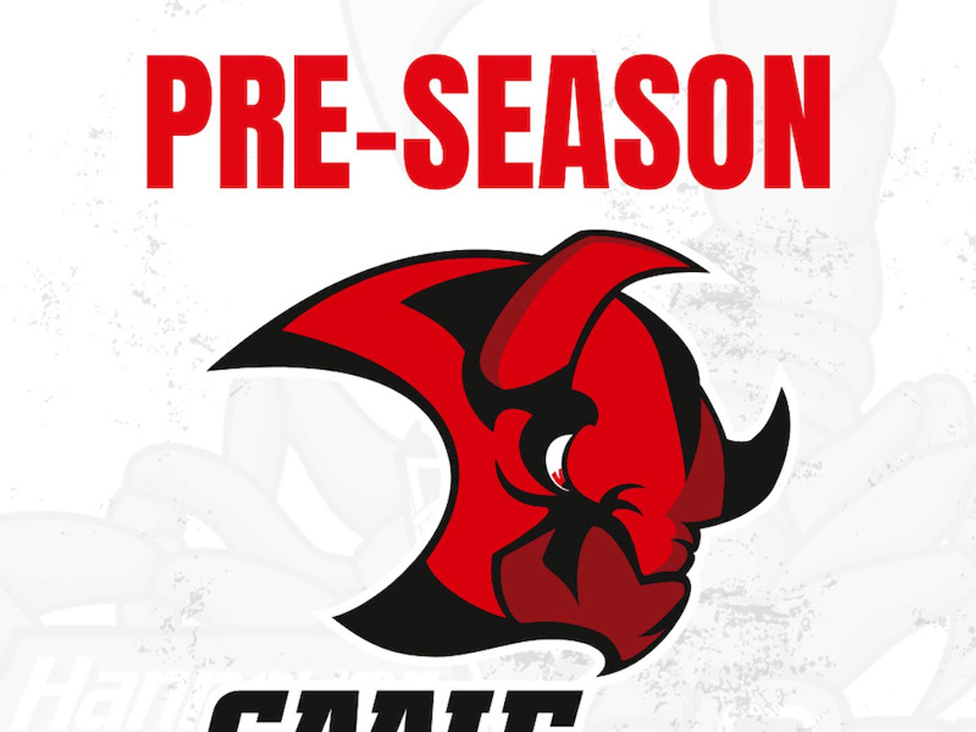 Hannover Scorpions Eishockey GmbH