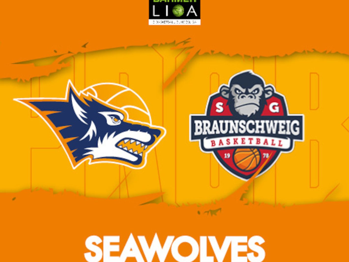 Rostock Seawolves e.V.