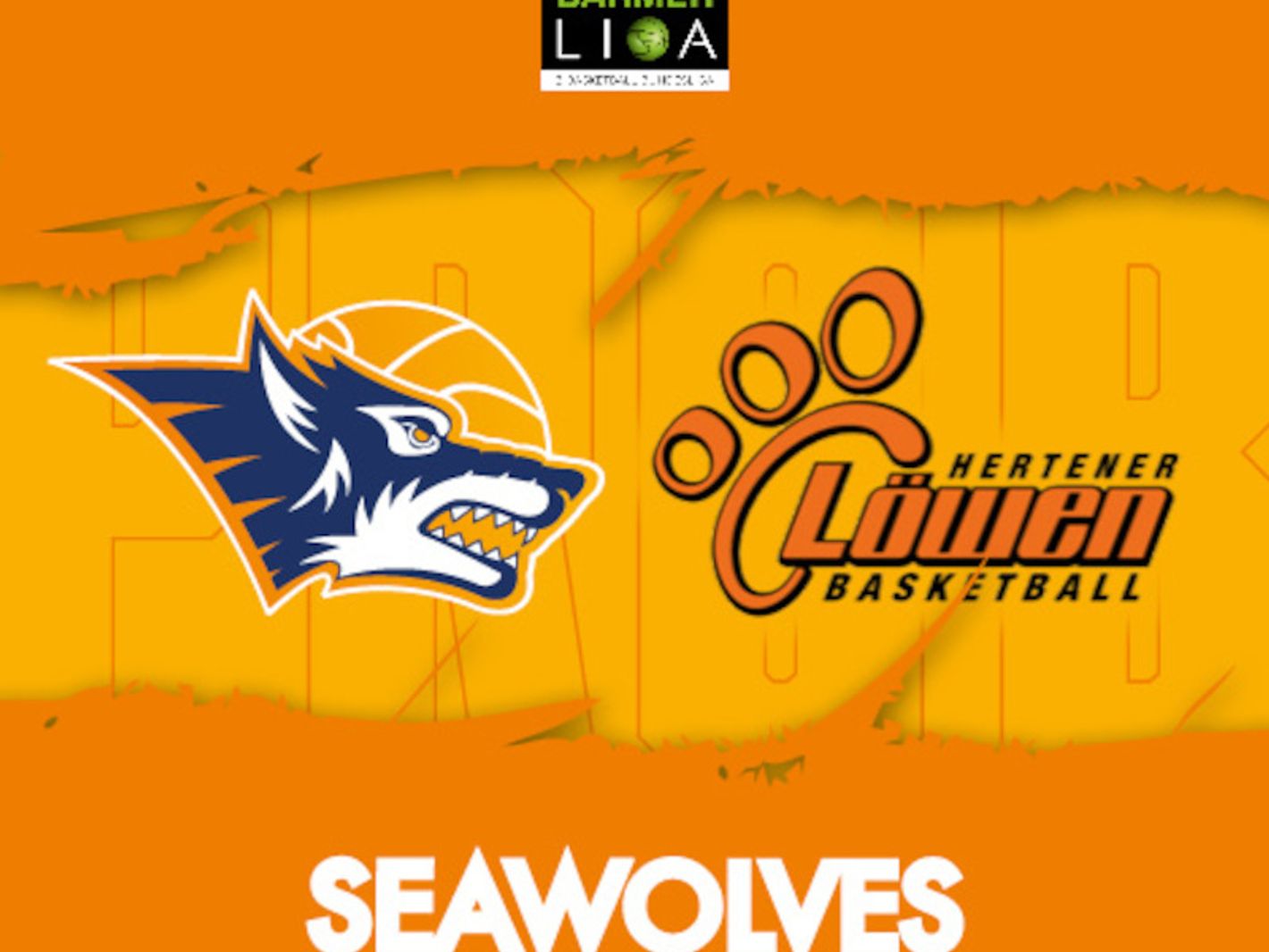 Rostock Seawolves e.V.