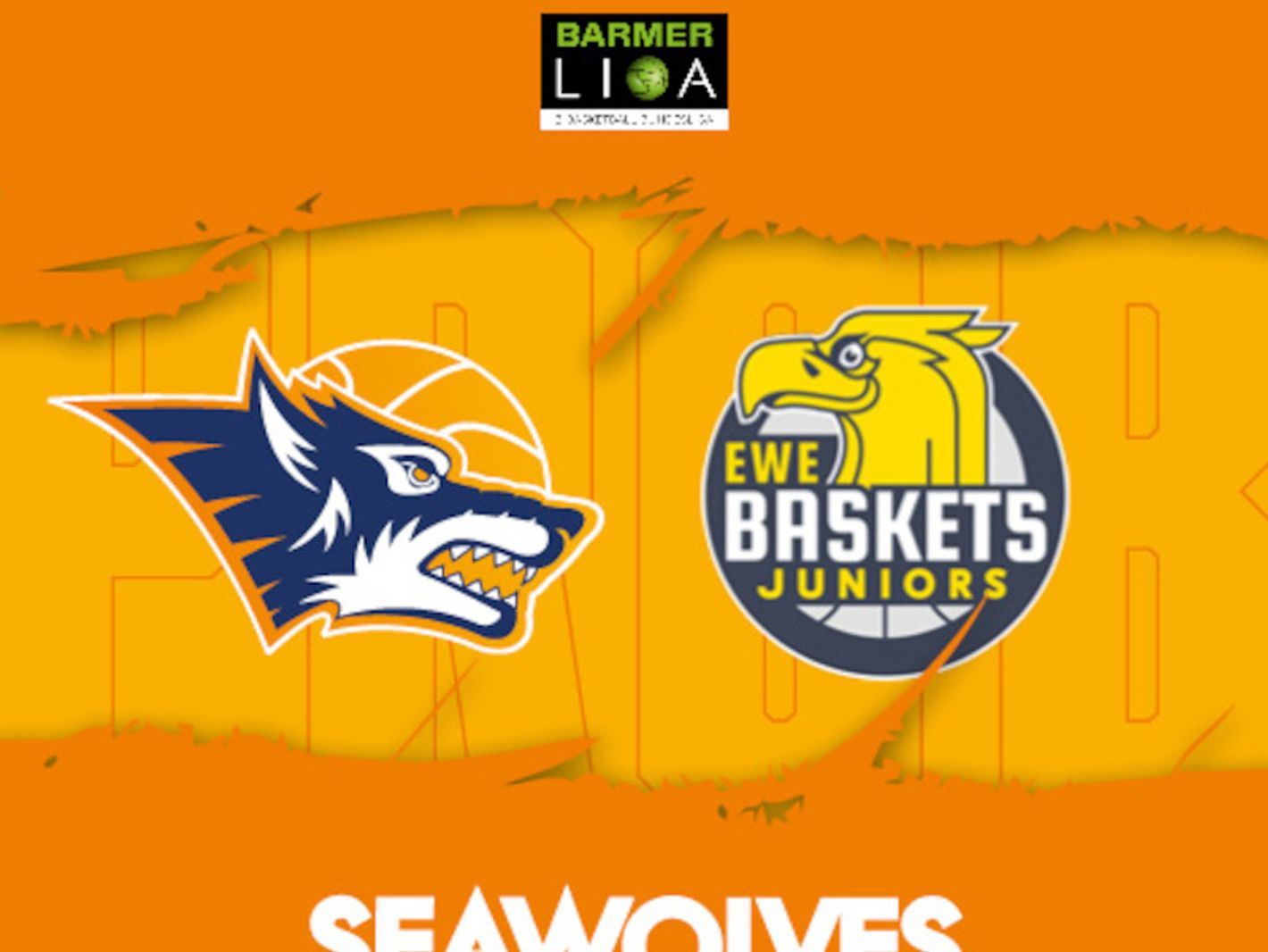Rostock Seawolves e.V.