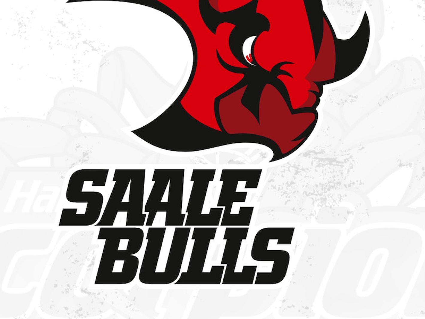 Hannover Scorpions Eishockey GmbH