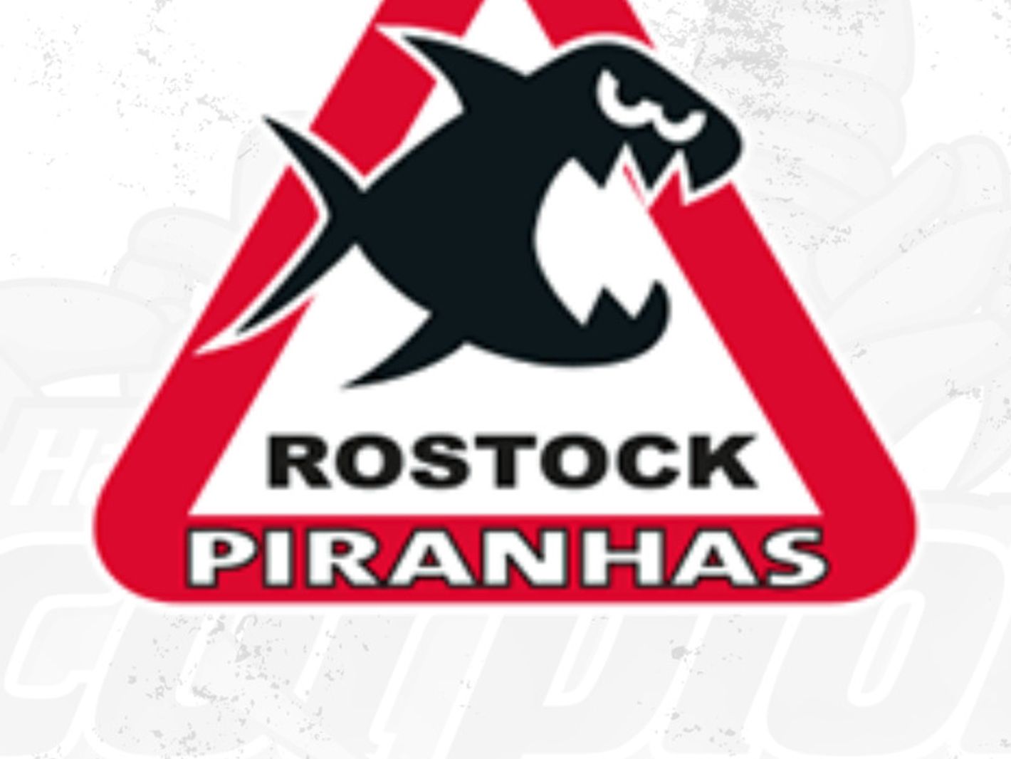Hannover Scorpions Eishockey GmbH