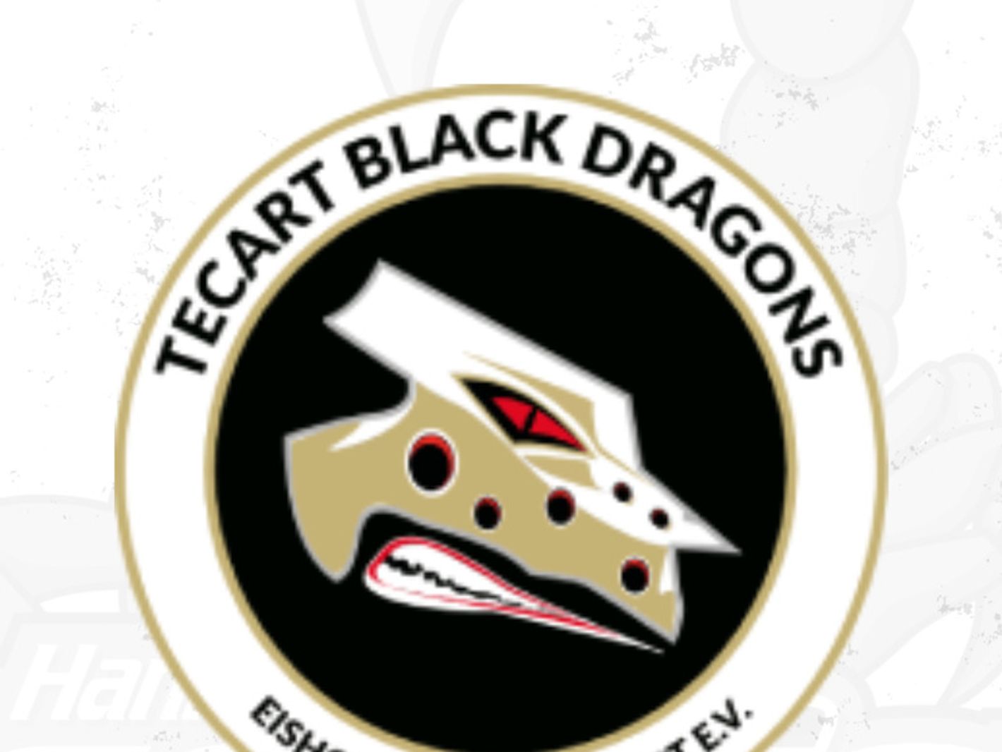 Hannover Scorpions Eishockey GmbH