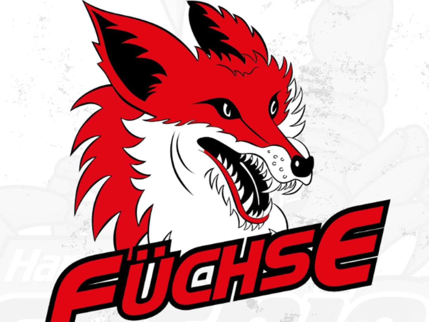Hannover Scorpions Eishockey GmbH