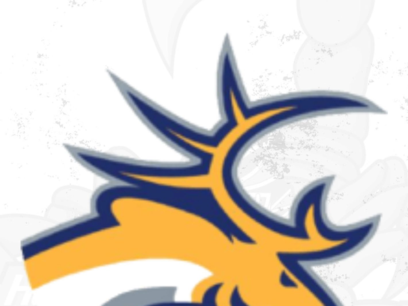 Hannover Scorpions Eishockey GmbH