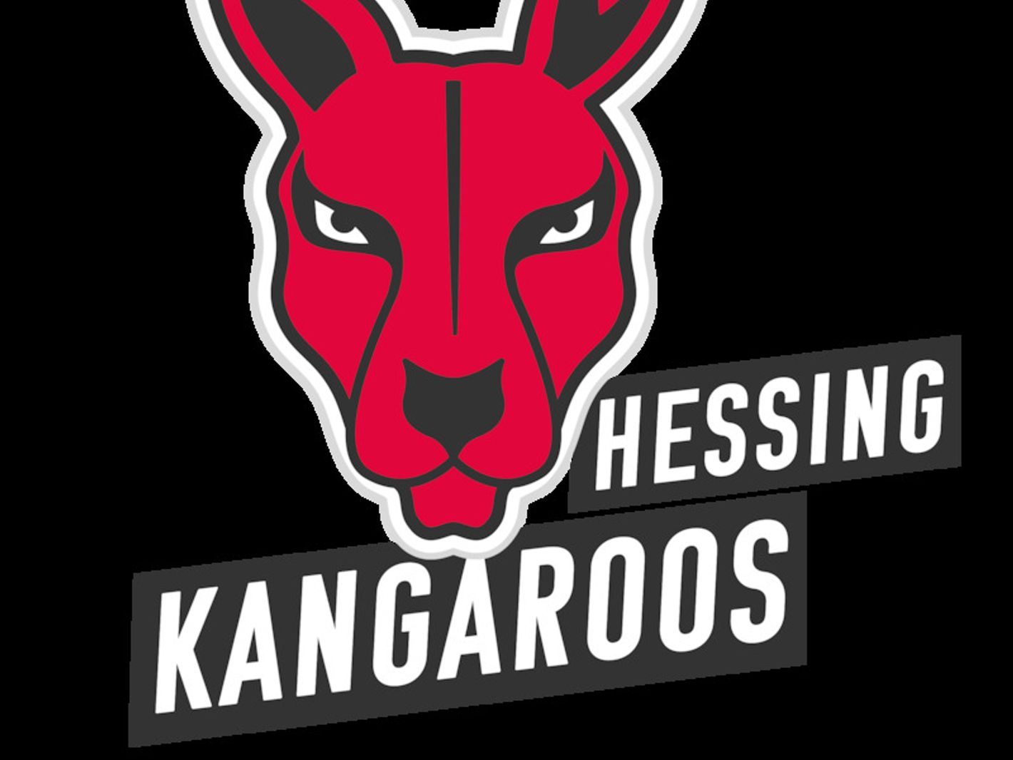 BG Hessing Leiterhafen