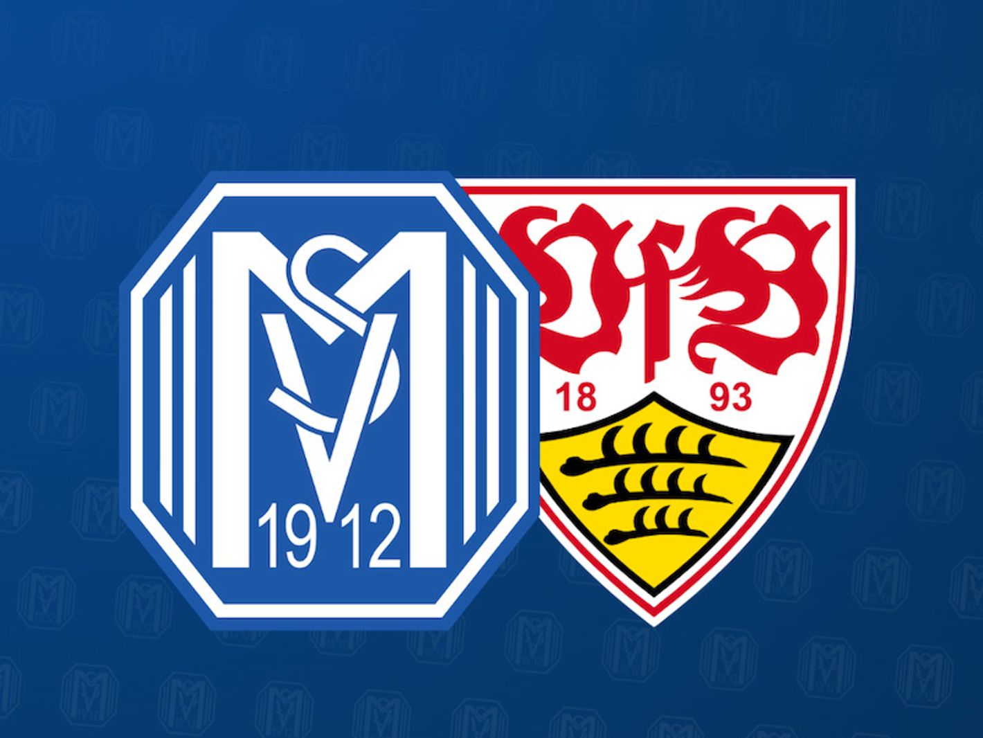 SV Meppen 1912 e.V.