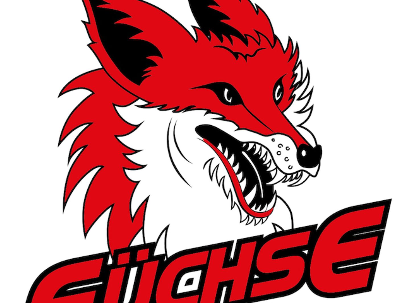 Füchse Duisburg