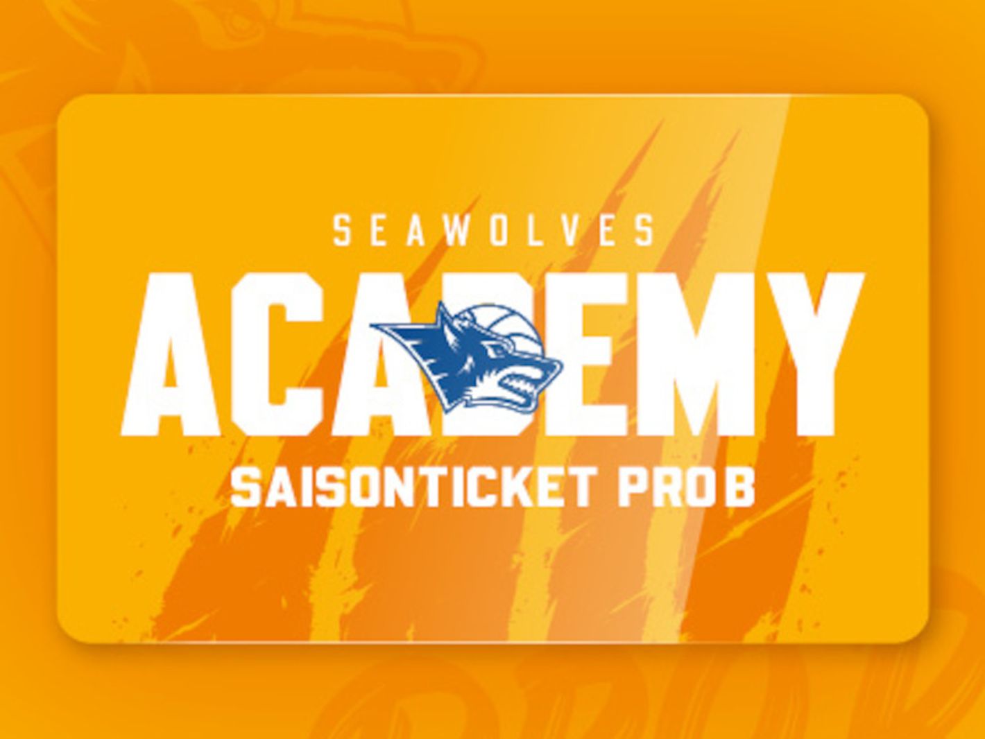 Rostock Seawolves e.V.