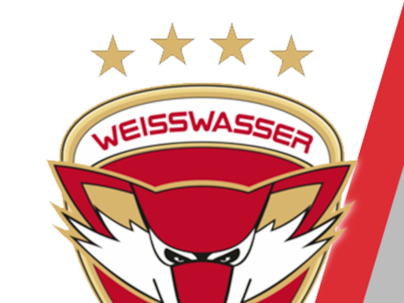 Eishockey-Club Freiburg e.V.