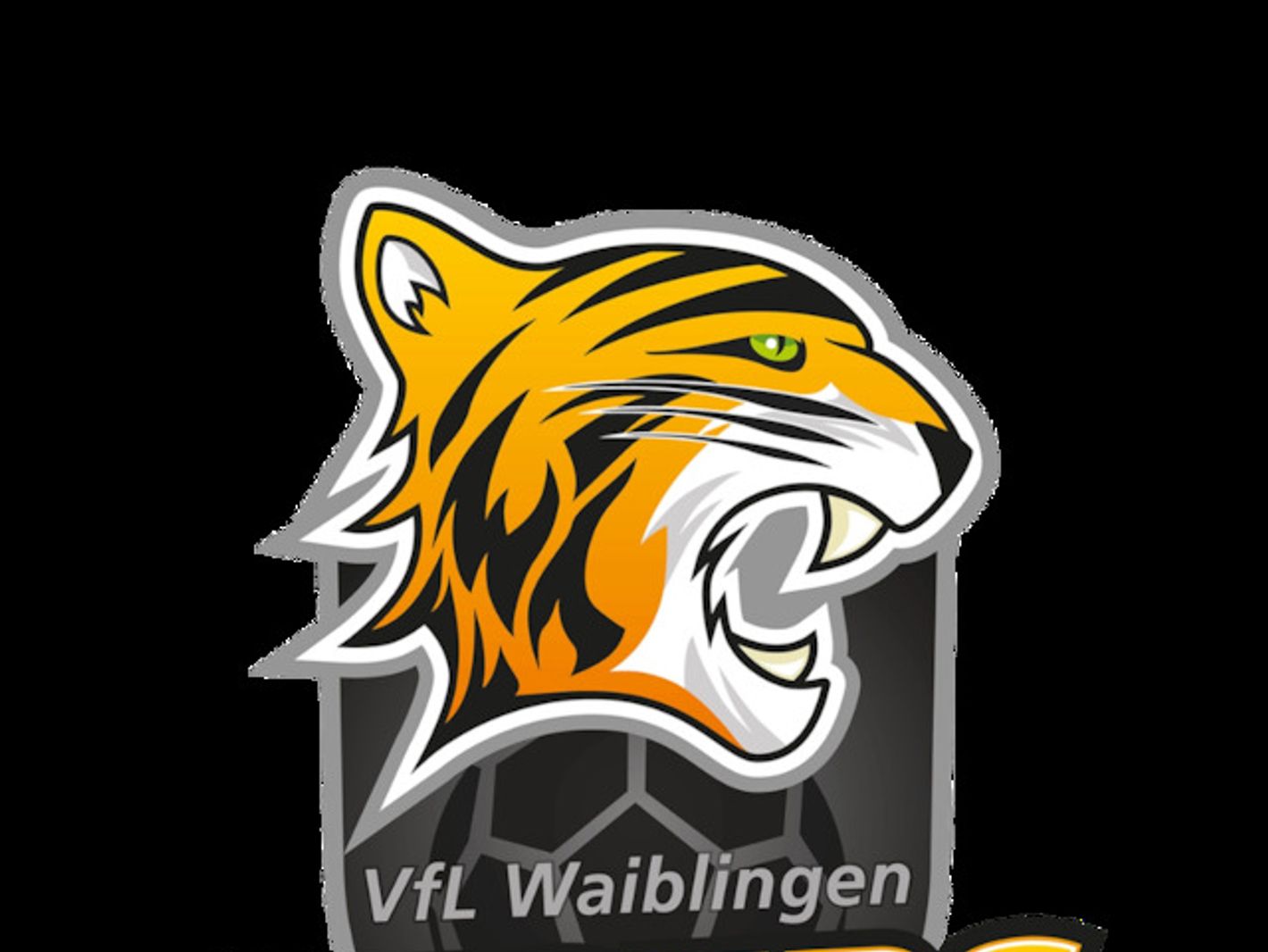 VfLWaiblingen