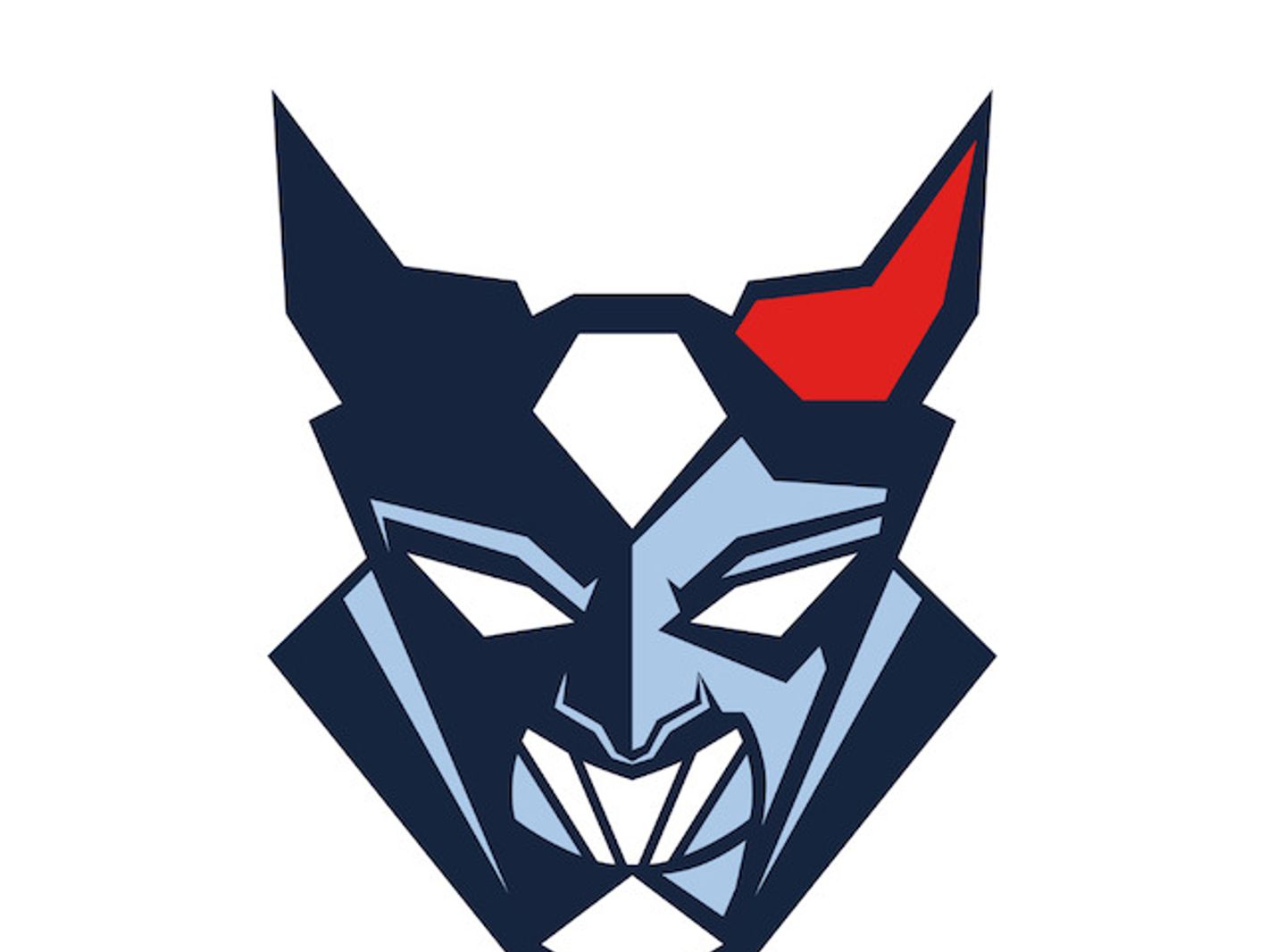 Blue Devils Weiden
