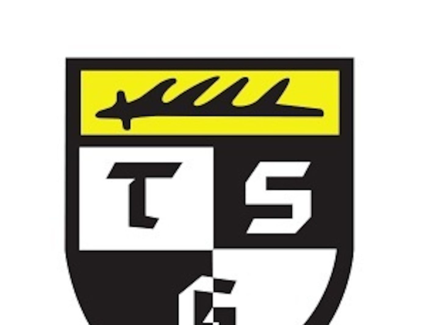 TSG Balingen
