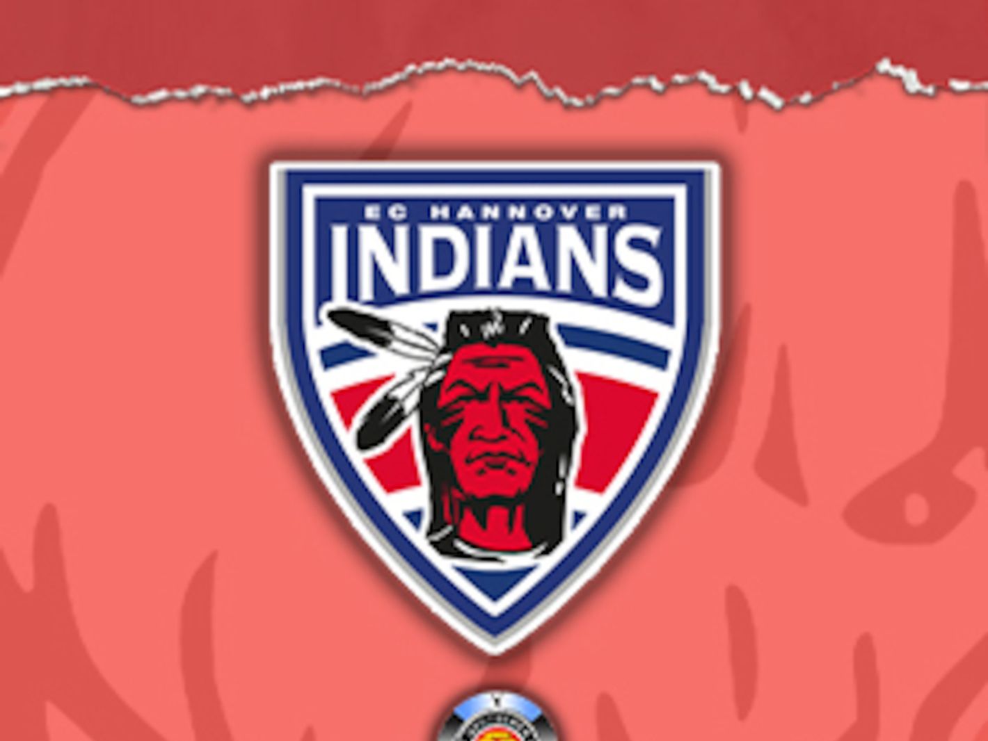 Hammer Eisbären
