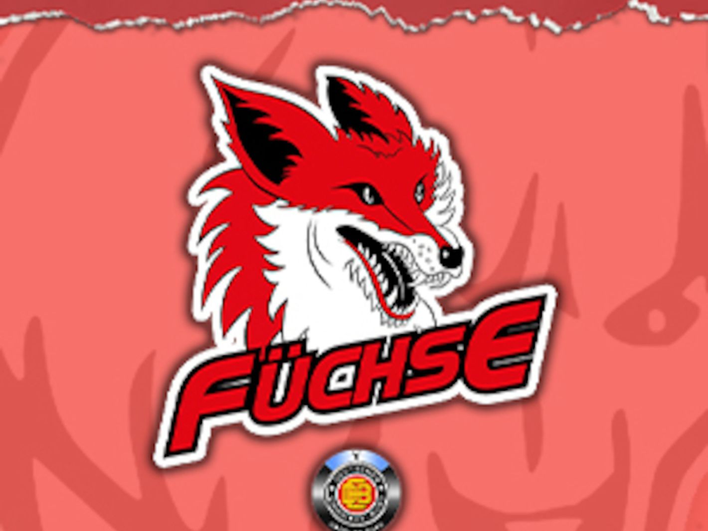 Hammer Eisbären