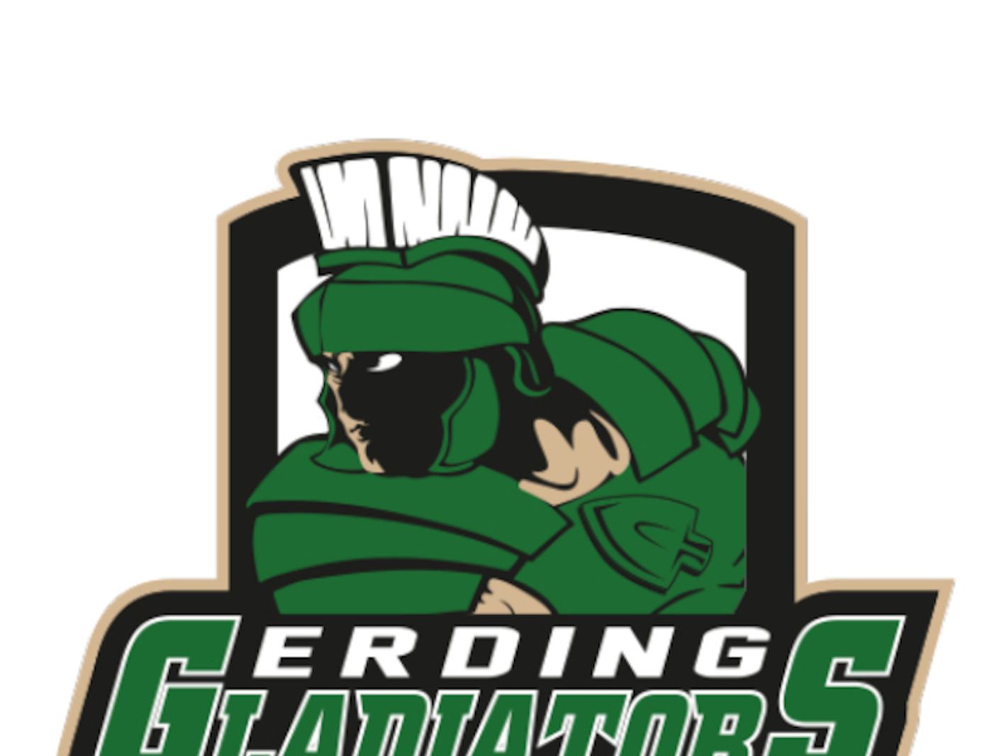 EV Lindau Islanders e.V.