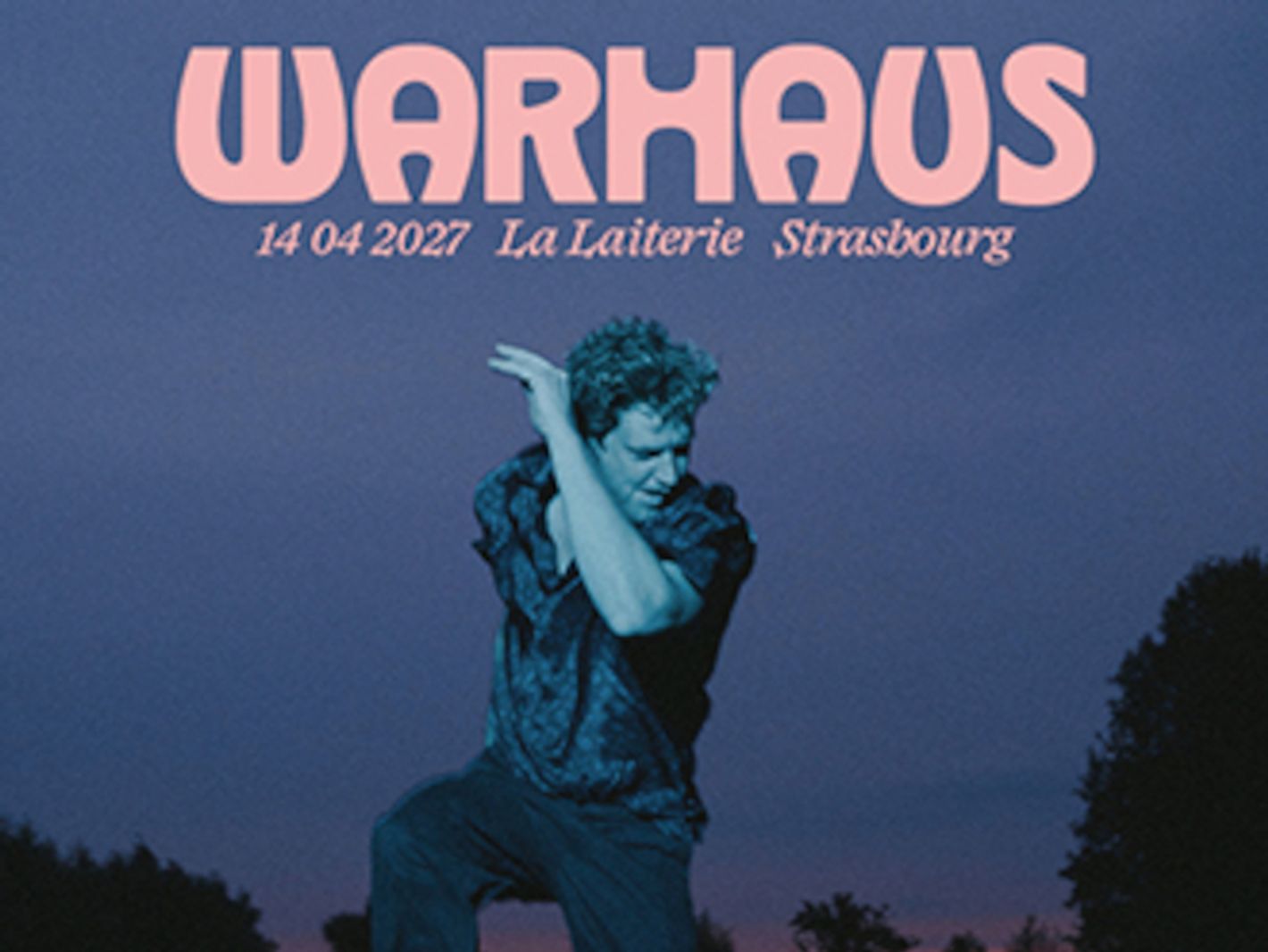 Warhaus