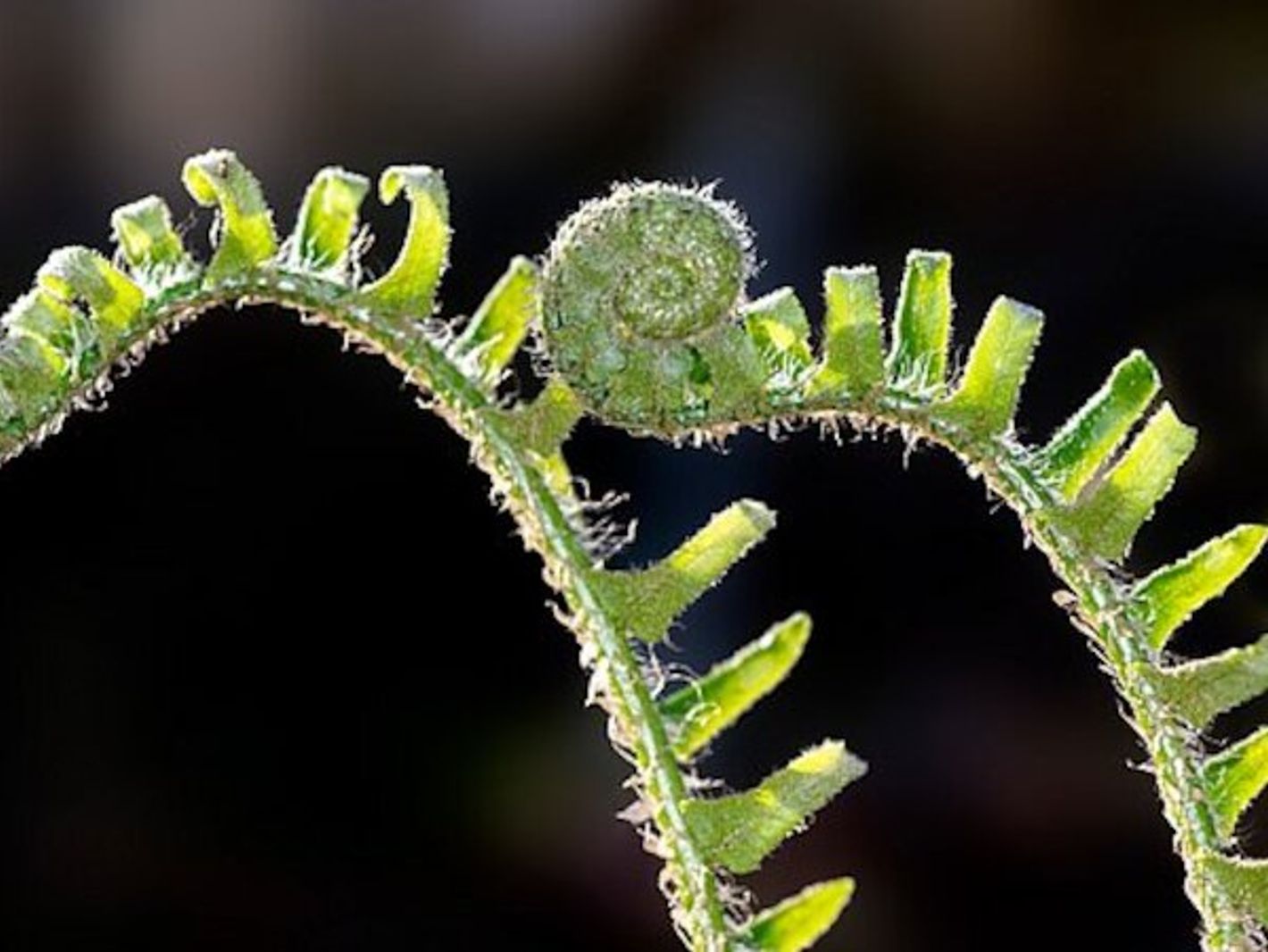 Foto von Flickr (https://flickr.com/photos/67015038@N06/52795948680), Lizenz CC0 (https://creativecommons.org/publicdomain/zero/1.0/)