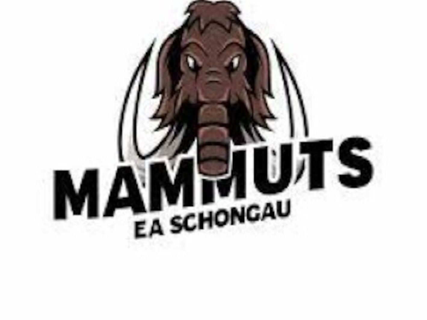 EA im TSV Schongau