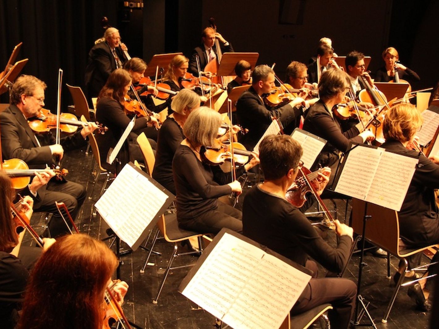 Orchesterverein collegium musicum