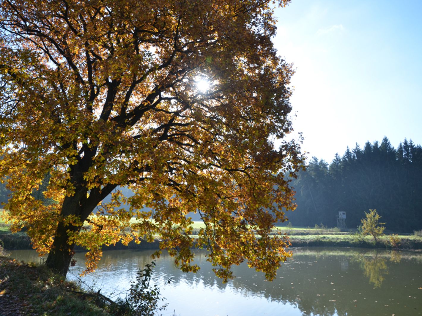 Foto: Ingrid Wenzel
