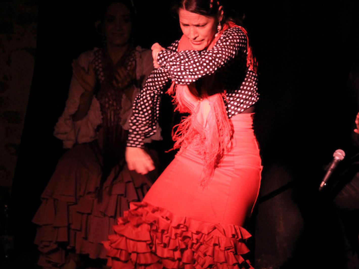 El Pasaje Flamenco