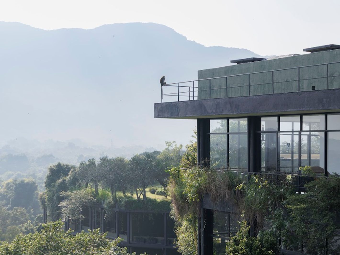 Geoffrey Bawa Kandalama Hotel, 1991-94 Dambulla, Sri Lanka © Iwan Baan, 2026