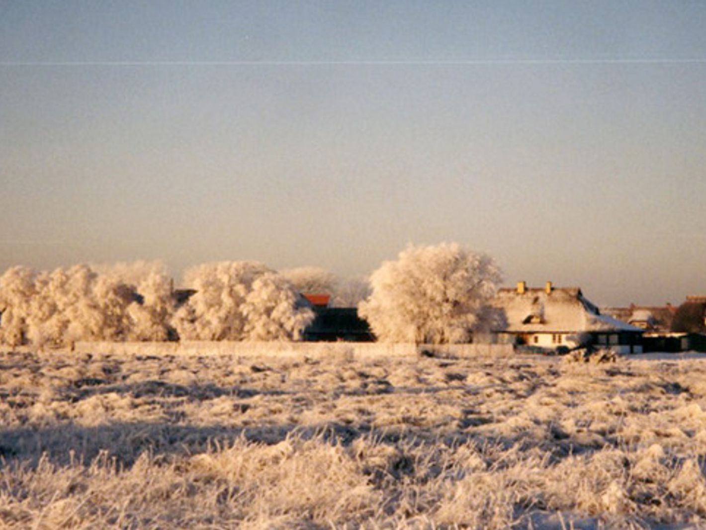 Winter auf Hiddensee