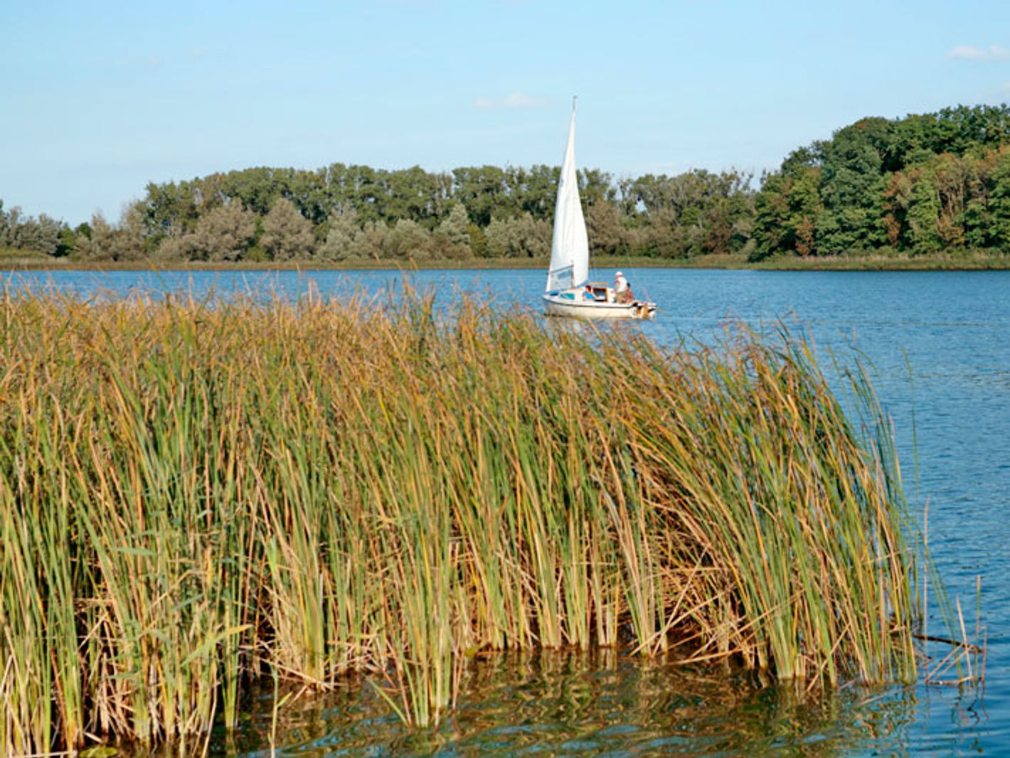Segelboot auf dem See