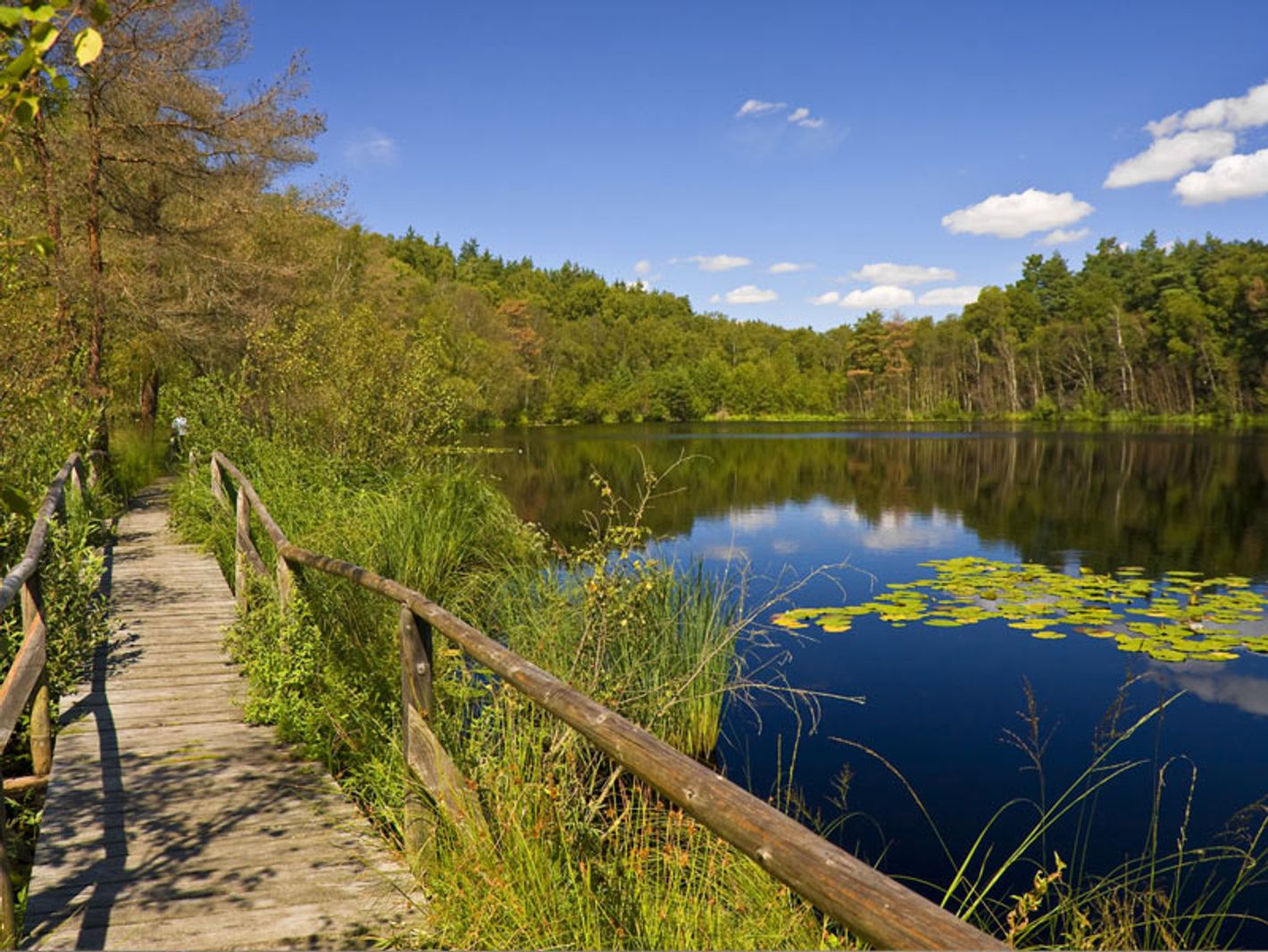 Müritz-Nationalpark