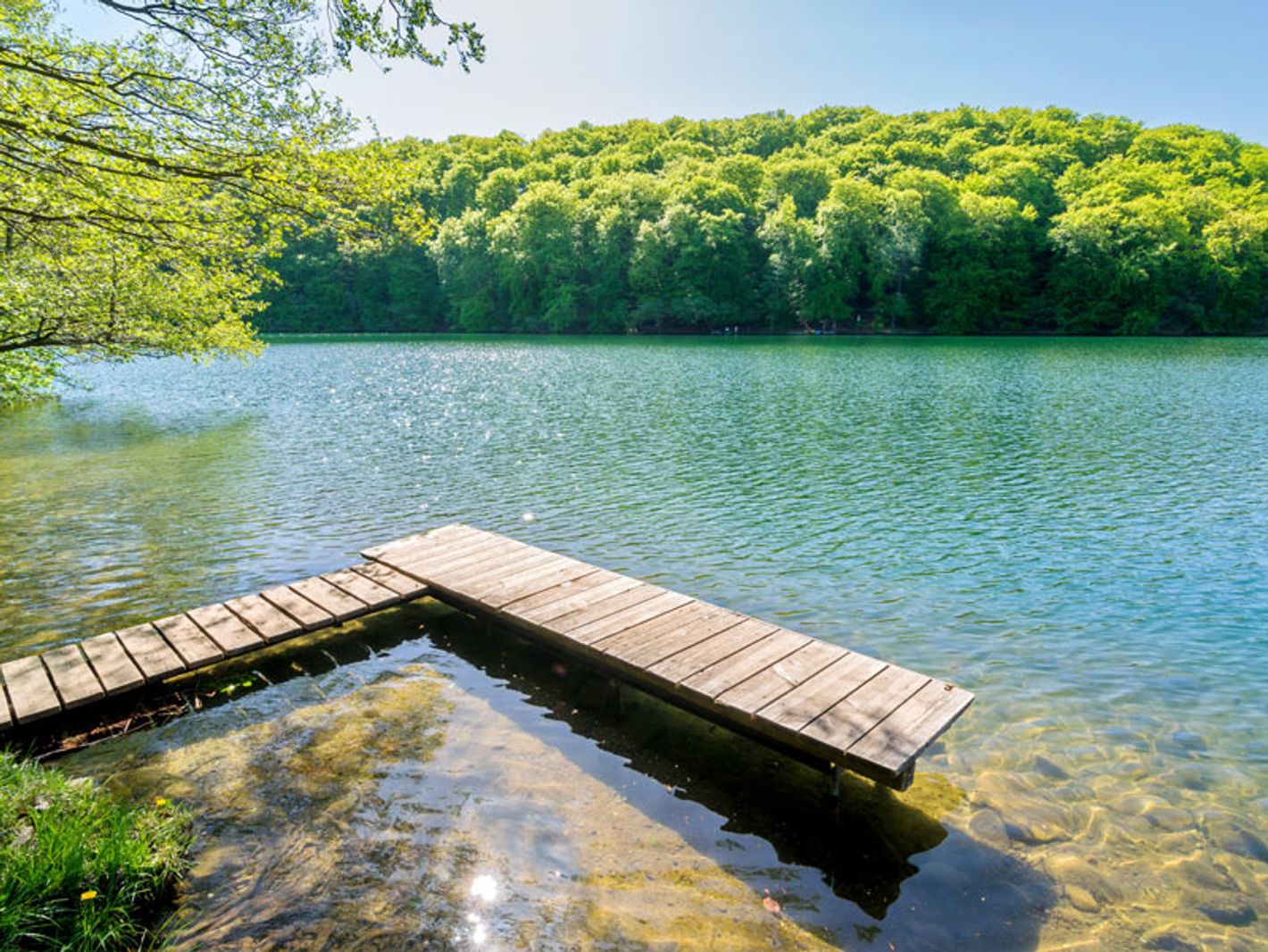 Naturpark Feldberger Seenlandschaft | kentauros - stock.adobe.com