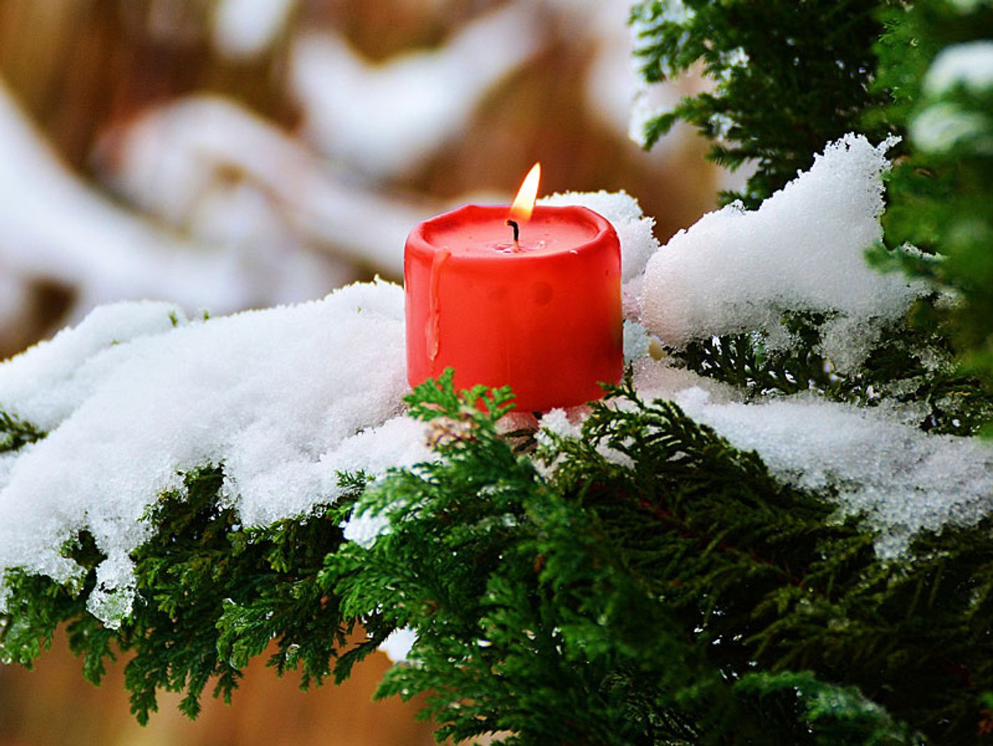 Weihnachtsarrangement Hotel Johannesruh