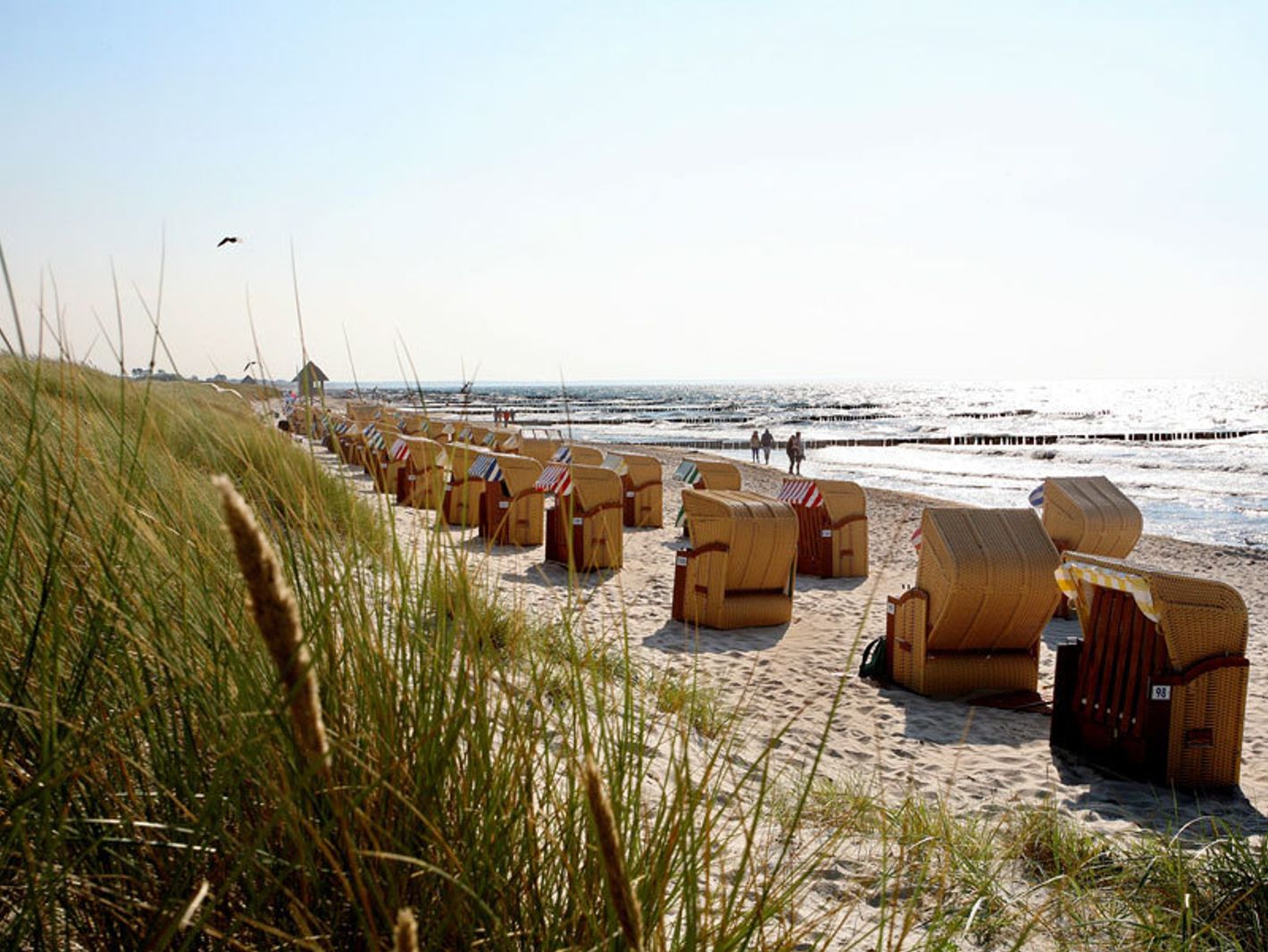 Strand mit Strandkörben