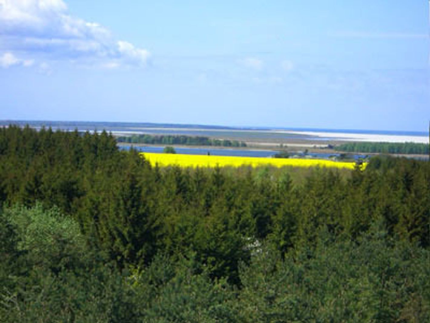 Radwanderung entlang der Boddenküste von Klausdorf nach Zarrenzin