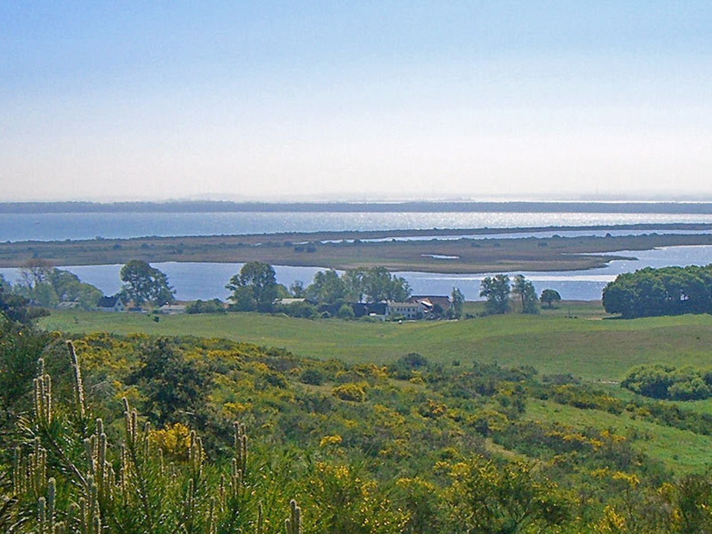 Grieben (Hiddensee)
