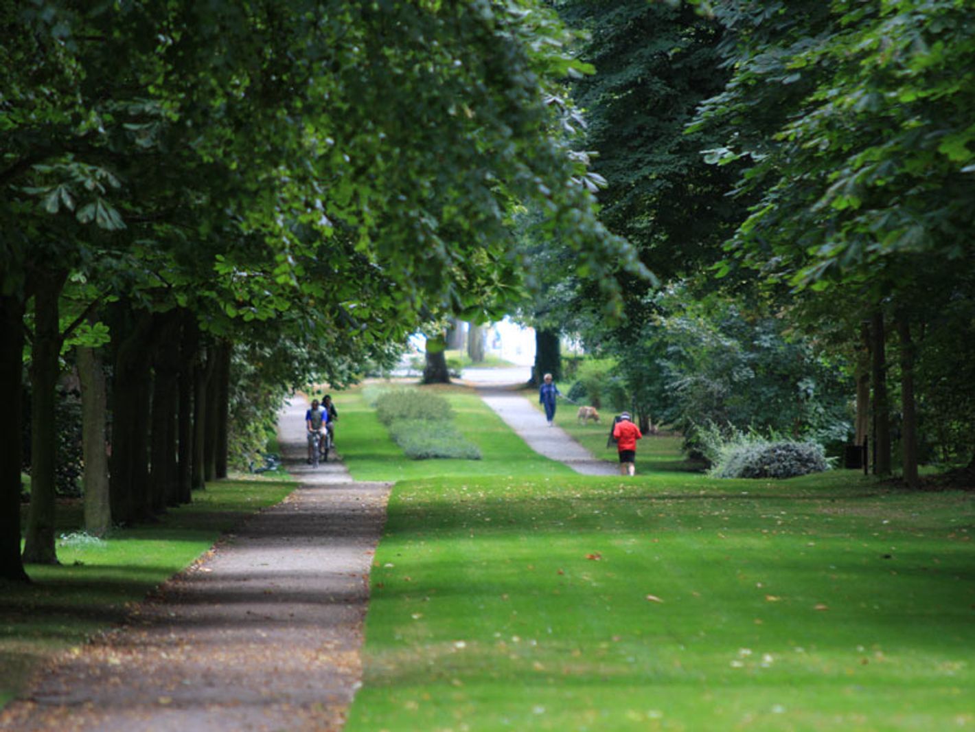 Park Juliusruh