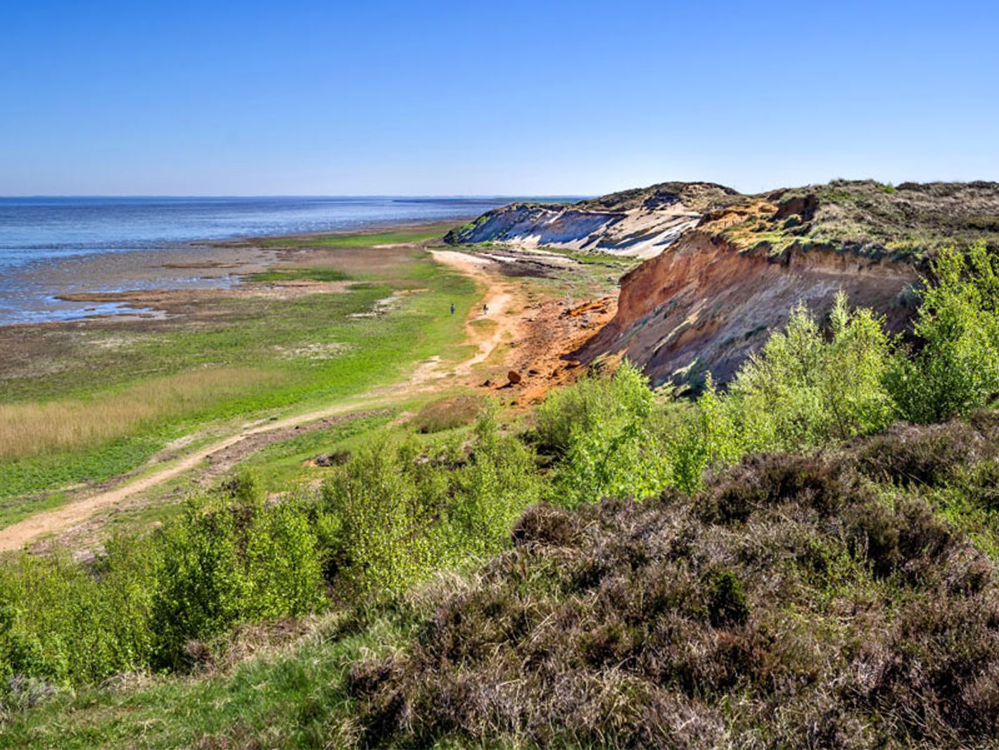 Morsum-Kliff | Carl-J. Bautsch - stock.adobe.com