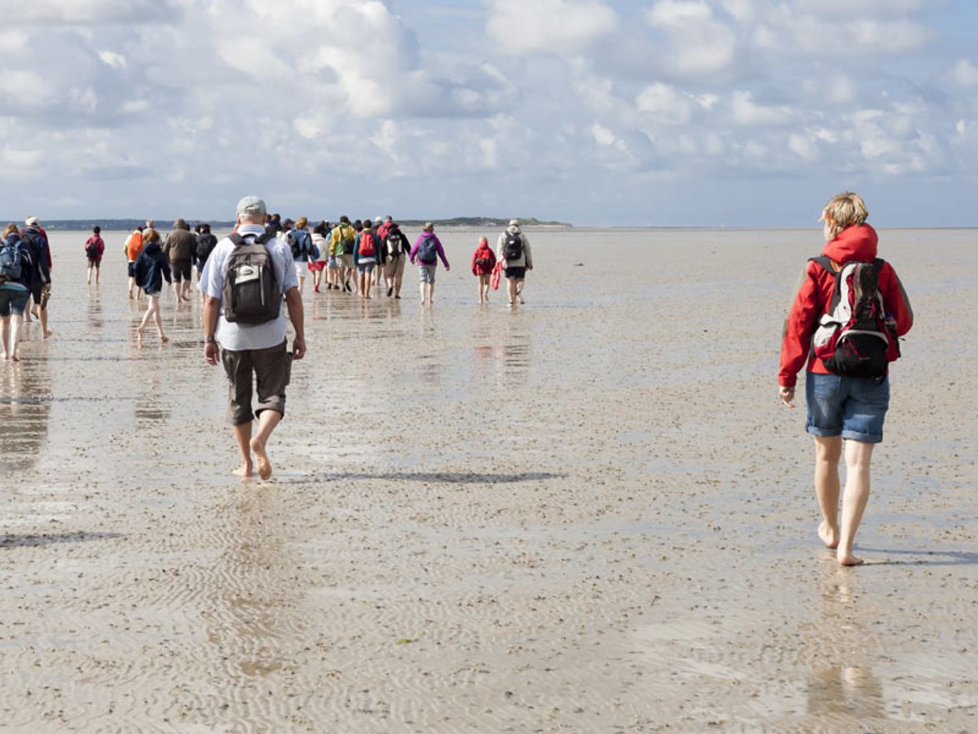 Wattwanderung auf der Insel Sylt | FPM-BERLIN - stock.adobe.com